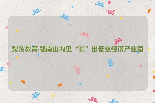 梨花教育:赣南山沟里“长”出低空经济产业园